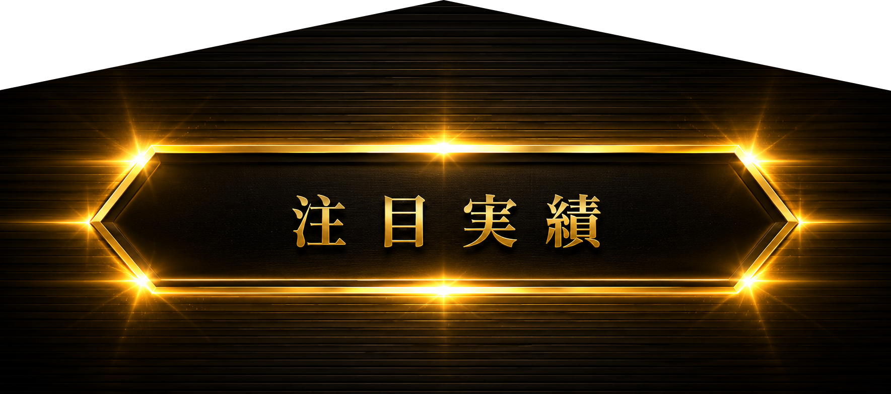 注目実績